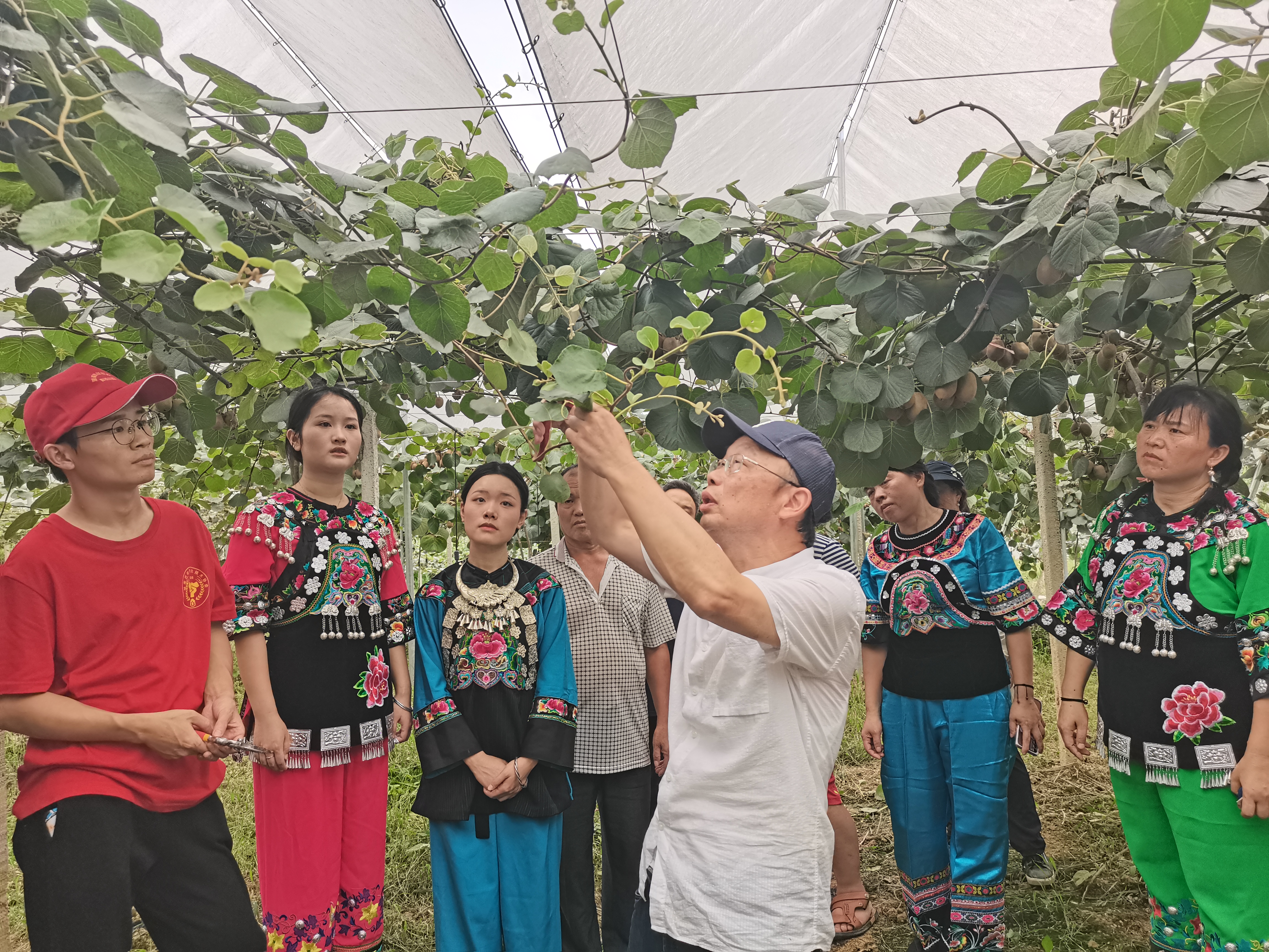 一位农业专家与菖蒲塘村的15年(分离图)(138240)-20220722123708.jpg