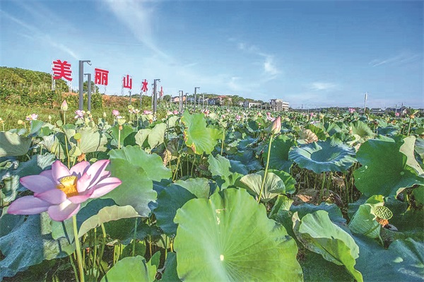 石鼓区政协38115810.jpg