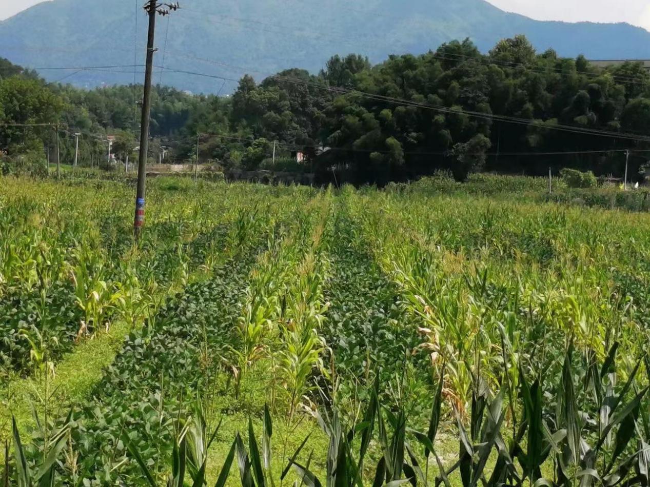 微信图片_20221106171149