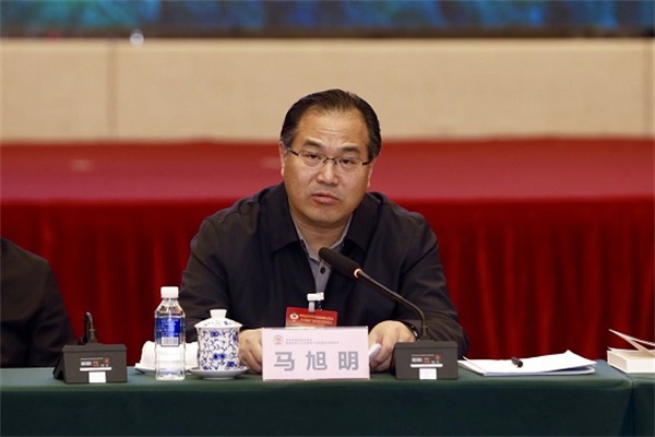 湖北省政协党组成员、副主席马旭明.jpg