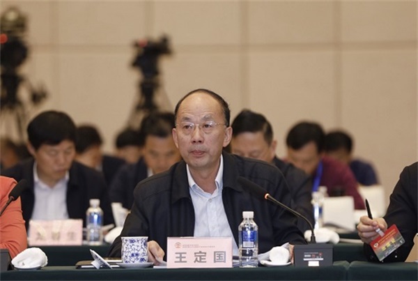 重庆市文化和旅游发展委员会副主任王定国.jpg