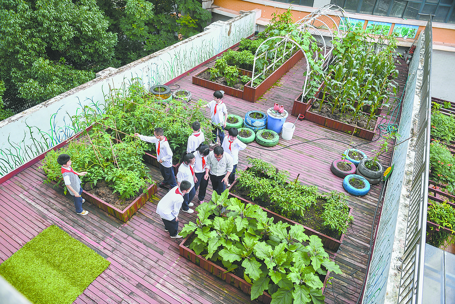 131961_zhangchunmei_1654186599597.jpg