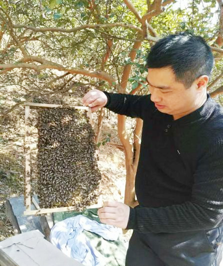 图片1.jpg