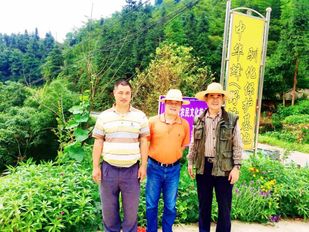 中华蜂保护团队.jpg