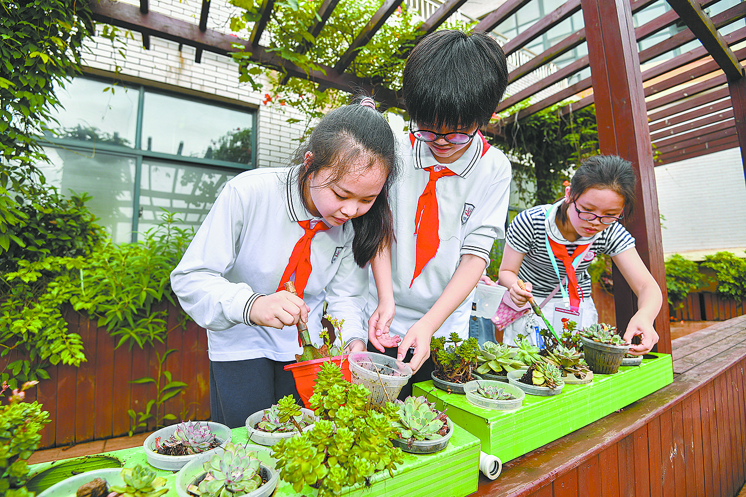 131960_zhangchunmei_1654186947625.jpg