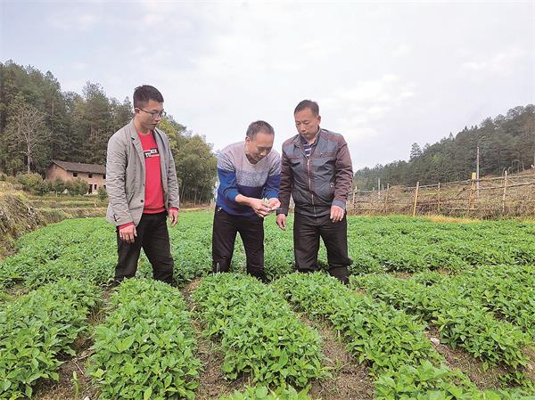 43729_zhangchunmei_1585235091667.jpg