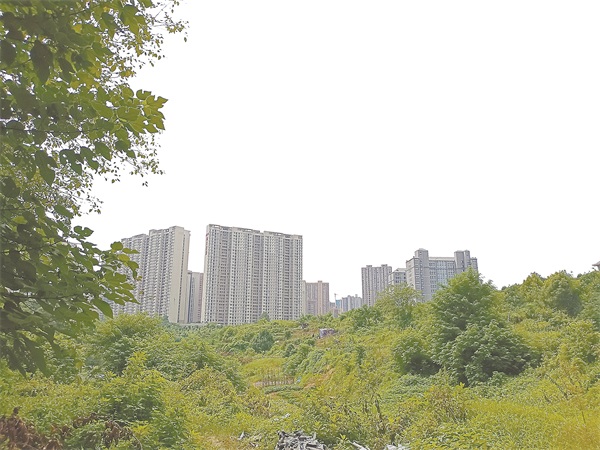 学校规划实景.jpg