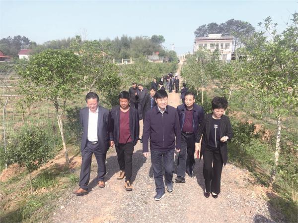 72721_zhangchunmei_1609426447586.jpg