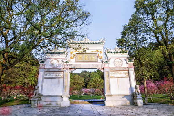 图片10.png
