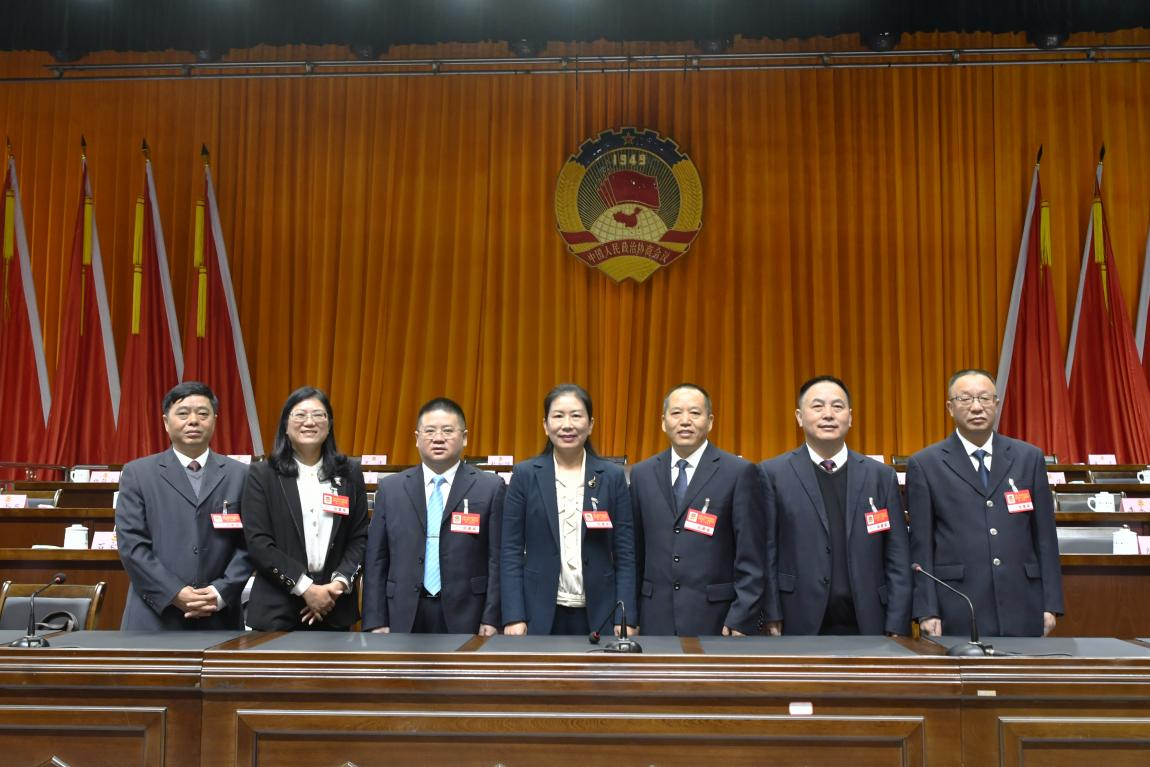 左起：秘书长兰秋生，副主席陈晓芳、黄承业，主席向洪琼，副主席罗金爱、石元云、何力文.png